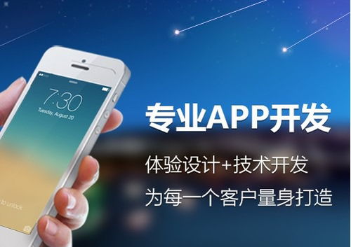 計算機軟硬件銷售與技術開發(fā)綜合服務